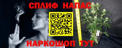 прущие крисы Кимры