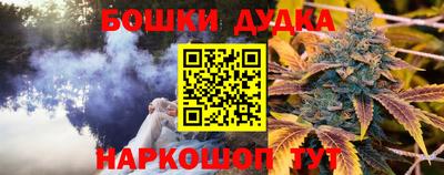 Альфа ПВП Кингисепп